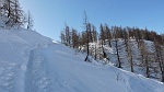 bscarp17 012